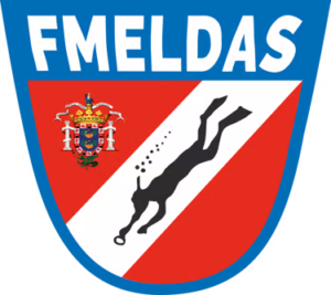 Logo FMELDAS